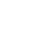 Interim Leadership CIO