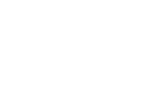 Interim Leadership CTO