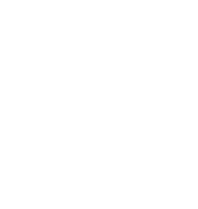 Interim Leadership Engineering
