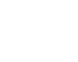 Sell-side diligence