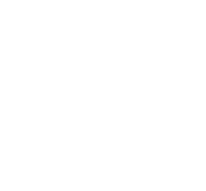Action plan